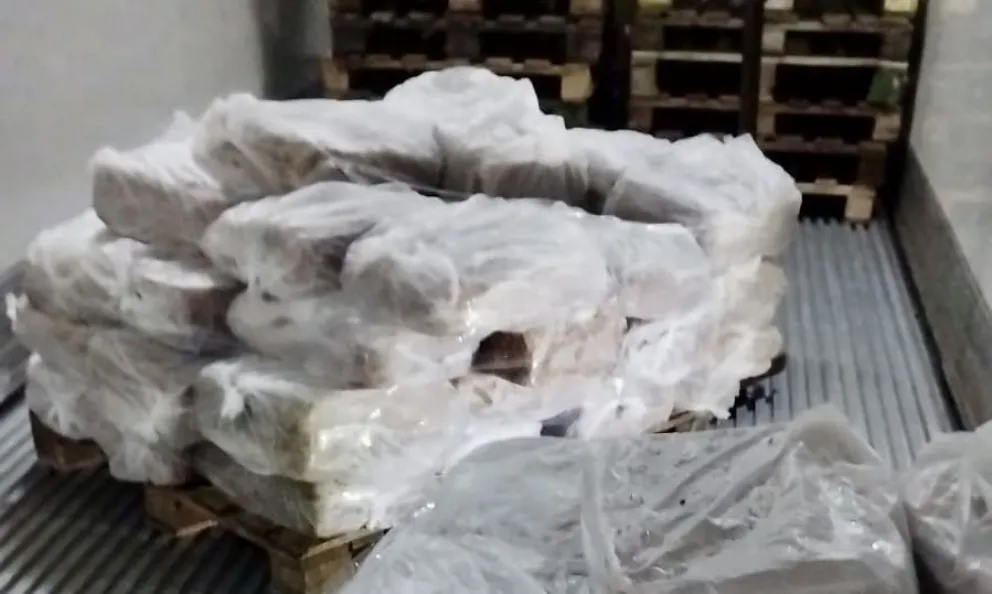 En este momento estás viendo Decomisan más de 30 toneladas de tripas sin habilitación sanitaria en Río Colorado