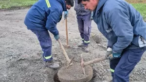 Lee más sobre el artículo “Todas las semanas estamos teniendo algún problemita en ese colegio”, dijo Arguello desde ARSA