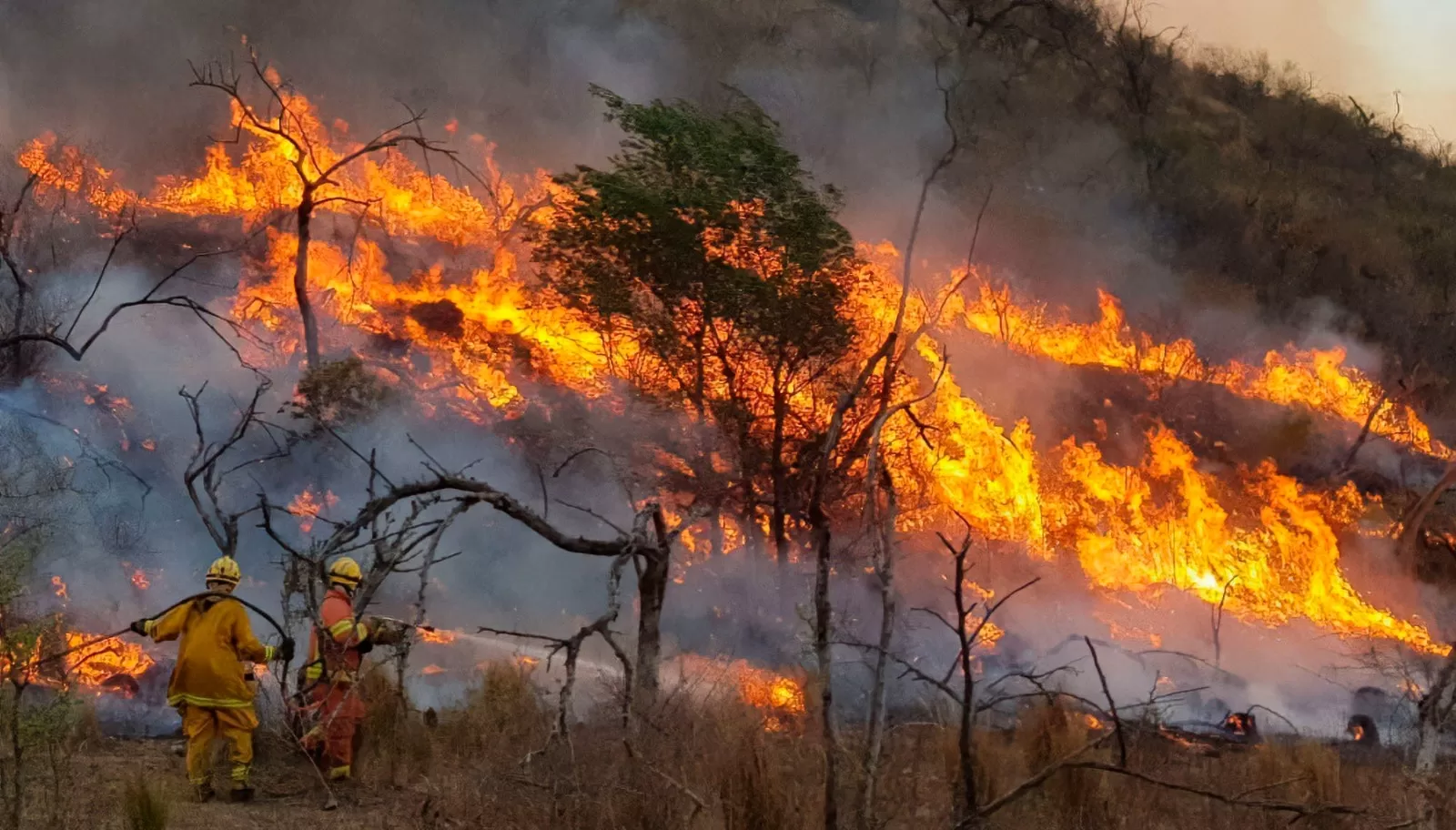 Lee más sobre el artículo Córdoba decreta alerta ambiental por incendios activos y riesgo extremo
