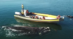 Lee más sobre el artículo Río Negro lanza la temporada de invierno en Buenos Aires
