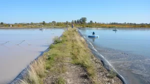 Lee más sobre el artículo Cinco nuevas obras para mejorar el acceso al agua y al saneamiento