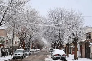 Lee más sobre el artículo «Para mañana vamos a tener mucha probabilidad de que haya nieve en la región durante todo el día»