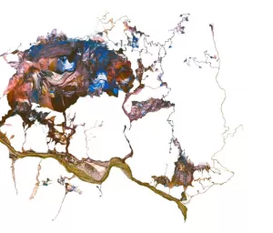 Lee más sobre el artículo Cipolletti inaugura la muestra “Un cielo profundo”, un viaje visual entre el universo y la Tierra