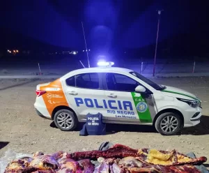 Lee más sobre el artículo En Los Menucos la policía secuestró carne faenada en condiciones insalubres