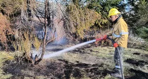Lee más sobre el artículo Incendios forestales: refuerzan la prevención y advierten riesgo climático