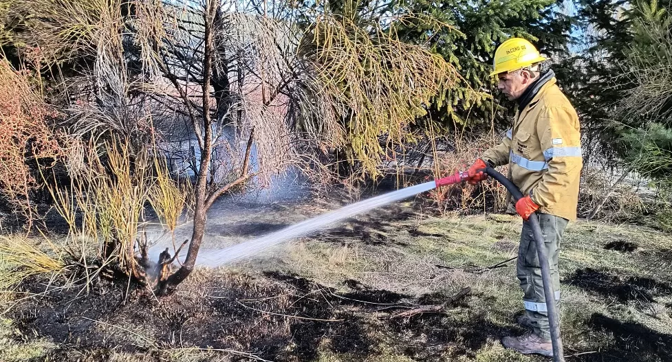 Lee más sobre el artículo Incendios forestales: refuerzan la prevención y advierten riesgo climático