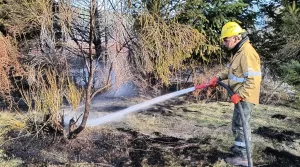 Lee más sobre el artículo Incendios forestales: refuerzan la prevención y advierten riesgo climático