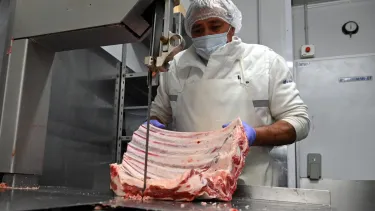 Lee más sobre el artículo Llegaron los primeros cargamentos de carne del norte de la barrera sanitaria