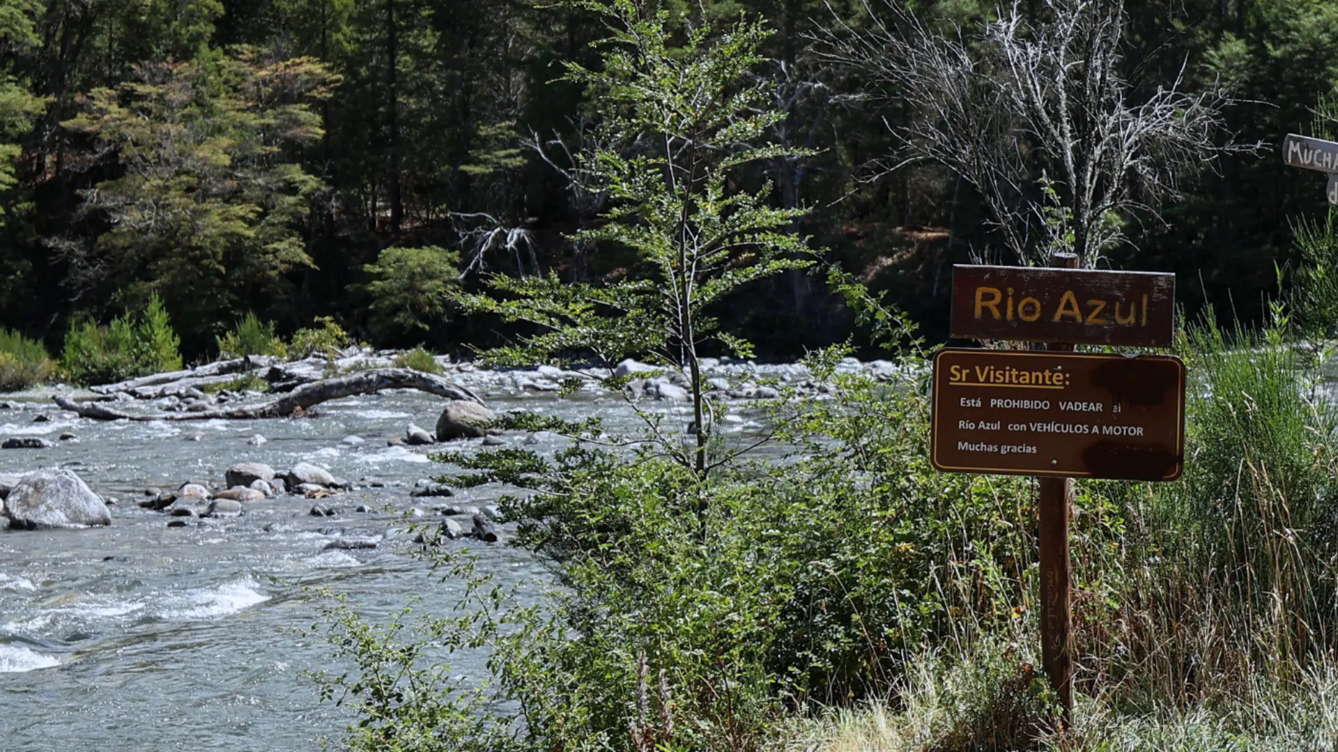 Río Negro avanza en la restauración del Área Natural Protegida Río Azul