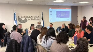 Lee más sobre el artículo Defensa del empleo rionegrino: avanza proyecto que garantiza el 80% de mano de obra local