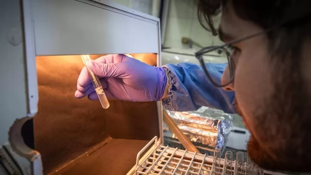 Lee más sobre el artículo Fentanilo contaminado: ya son 74 las muertes bajo investigación y hay alerta en Córdoba