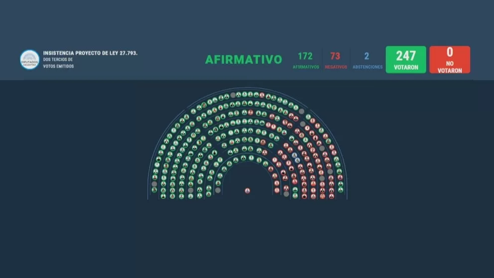 Lee más sobre el artículo Diputados rechazó el veto de Milei a la Ley de Emergencia en Discapacidad