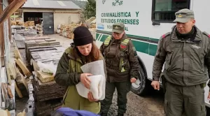 Lee más sobre el artículo Rescatan fósiles de 160 millones de años en Bariloche