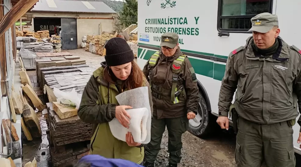 Lee más sobre el artículo Rescatan fósiles de 160 millones de años en Bariloche