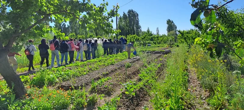 En este momento estás viendo El municipio de Cipolletti garantiza la continuidad del programa Huertas en un nuevo predio
