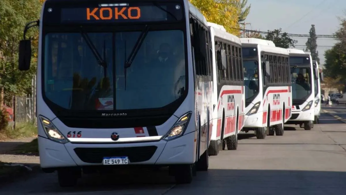 En este momento estás viendo KoKo: Nuevo aumento en el Alto Valle: cómo quedaron las tarifas de los colectivos interurbanos