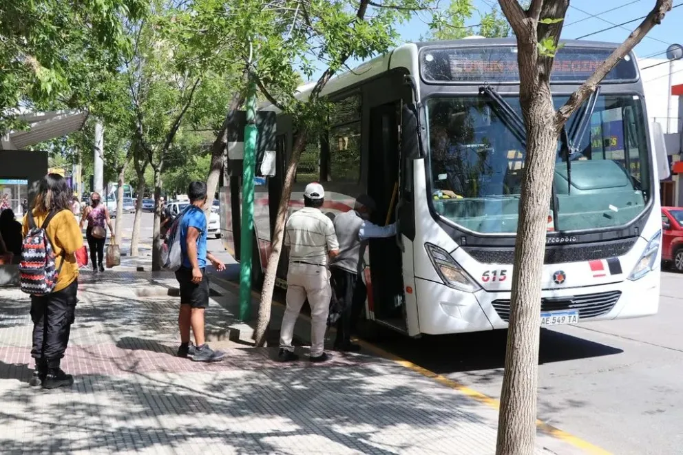 Cipolletti avanza con licitación para renovar el sistema de transporte público