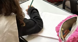 Lee más sobre el artículo Comienzan las inscripciones a la educación obligatoria 2026 en Río Negro