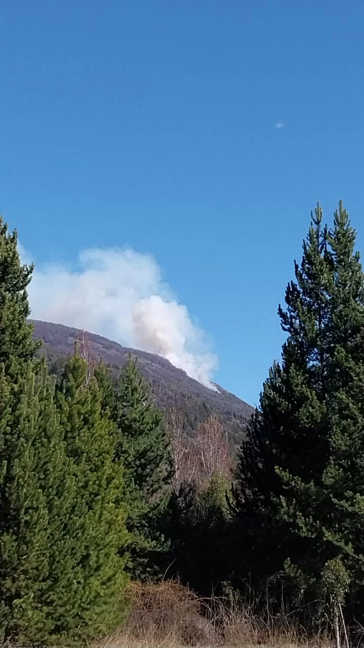 En este momento estás viendo El SPLIF trabaja intensamente para contener un incendio forestal en El Manso