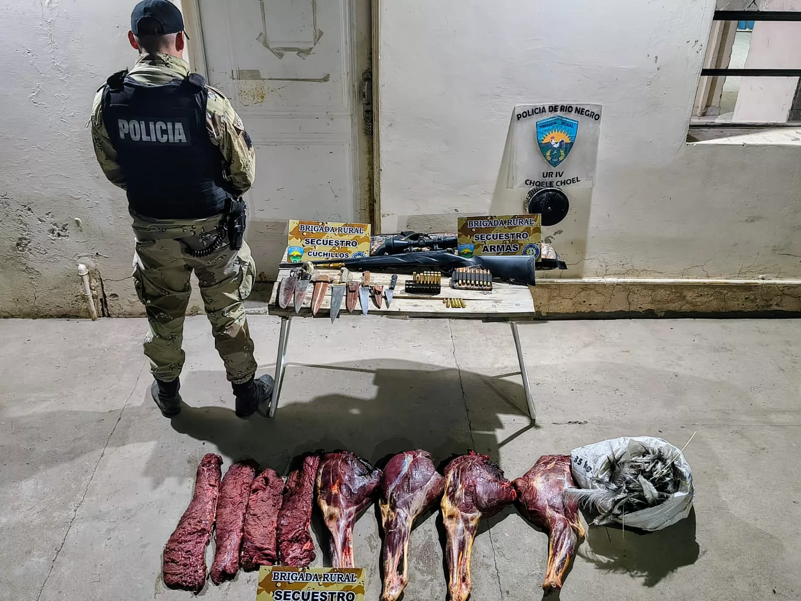Lee más sobre el artículo Caza ilegal: secuestran arma, municiones y carne de guanaco en un operativo rural en Pomona