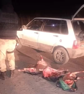 Lee más sobre el artículo Fin de semana sin asado: en Viedma secuestraron corderos faenados y transportados de forma irregular