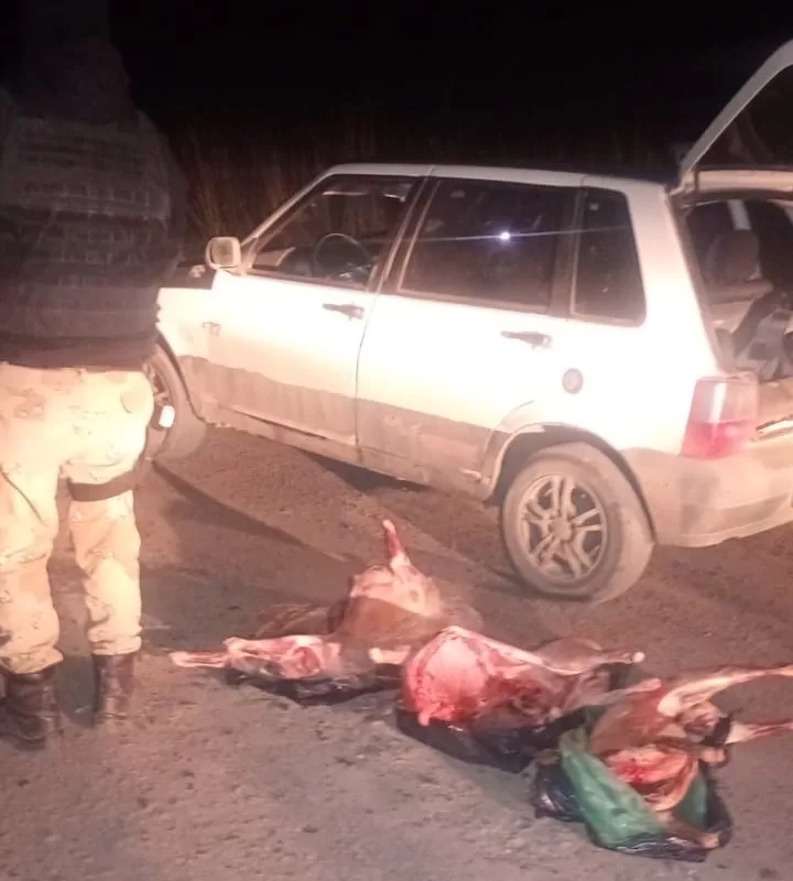 Lee más sobre el artículo Fin de semana sin asado: en Viedma secuestraron corderos faenados y transportados de forma irregular