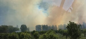 Lee más sobre el artículo Cinco Saltos: bomberos controlan incendio en sector ex marítima, perteneciente a Dole