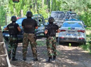 Lee más sobre el artículo Operativos policiales en Cipolletti: vehículos recuperados, detenciones y secuestro de plantas de marihuana