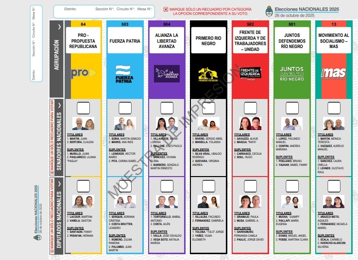 Elecciones del 26 de octubre: cómo votar con Boleta Única Papel (BUP)