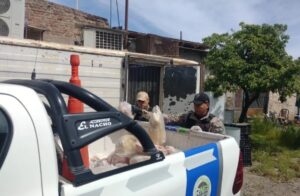 Lee más sobre el artículo Decomisaron más de 700 kilos de carne en mal estado en carnicerías de Cinco Saltos