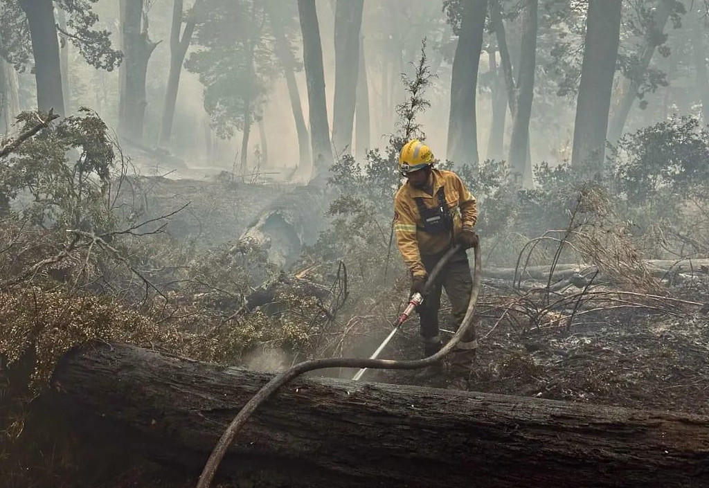 Lee más sobre el artículo Actualizan protocolos de respuesta a incendios forestales