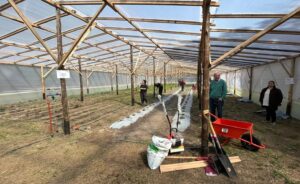 Lee más sobre el artículo Invernaderos KM 0: programa que acerca alimentos y multiplica oportunidades