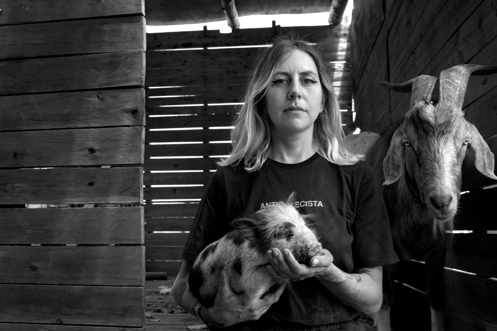 En este momento estás viendo “Carroñeros”: una mirada cruda y poética sobre el vínculo entre humanidad y explotación animal