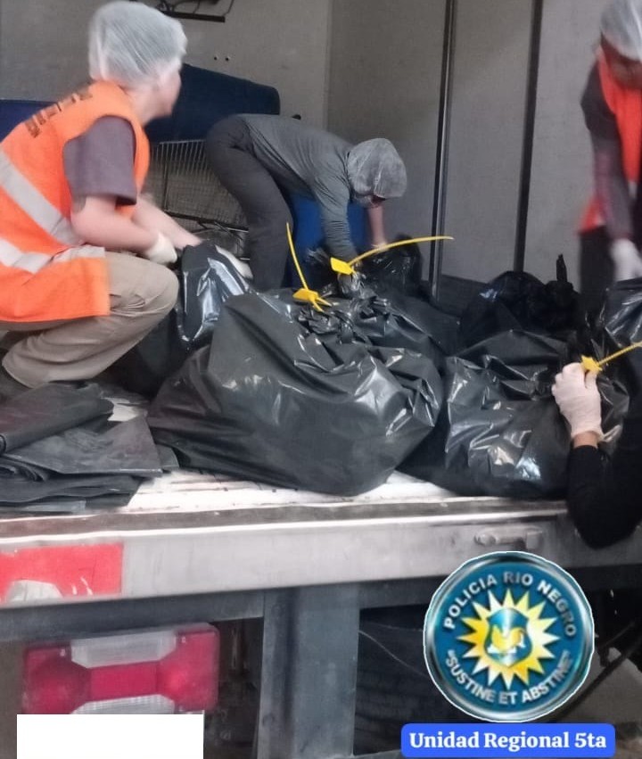 Decomisan más de 700 kg de alimentos por irregularidades sanitarias en Cipolletti