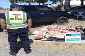 Lee más sobre el artículo Interceptaron 300 kg de carne ilegal en operativo en Catriel