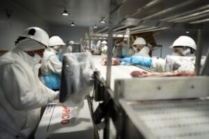 Lee más sobre el artículo Un borrador del Gobierno anticipa los ejes de la reforma laboral que se presentará tras el 10 de diciembre