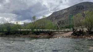 Lee más sobre el artículo Vecinos de Arroyo Las Minas ya cruzan sus animales por la nueva pasarela