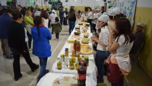 Lee más sobre el artículo San Antonio Oeste y Las Grutas inician los cierres del programa Capacitarte