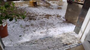 Lee más sobre el artículo El granizo golpeó fuerte en chacras del Alto Valle y productores evalúan daños