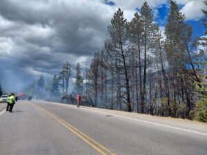 Lee más sobre el artículo Incendios contenidos en Cuesta del Ternero y Ruta 40 Norte: continúa el trabajo de los equipos en El Bolsón