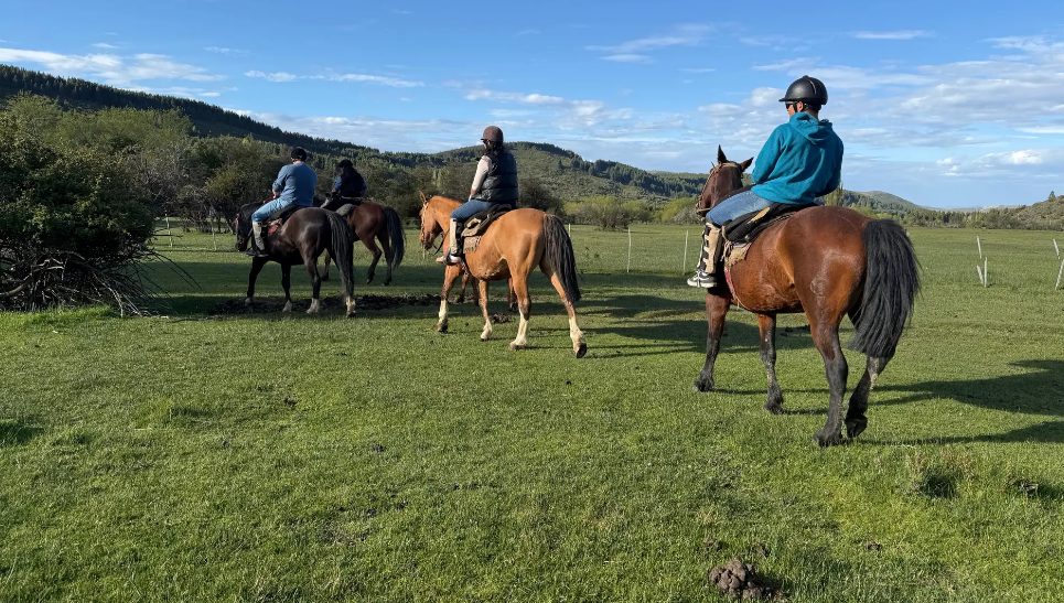 Lee más sobre el artículo Turismo acompaña la regularización de prestadores de servicios