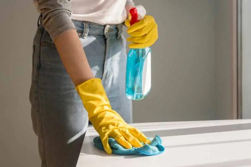 Lee más sobre el artículo Aumentos para empleadas domésticas: el Gobierno oficializó las subas de noviembre y diciembre