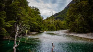 Lee más sobre el artículo Cuidar las Áreas Naturales Protegidas es cuidar el patrimonio común