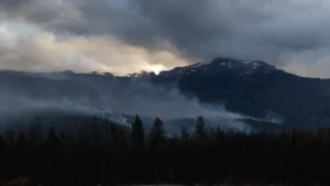 Lee más sobre el artículo Emergencia Ígnea: qué está prohibido, qué está permitido y cómo cuidarnos
