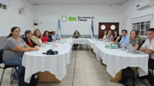 Lee más sobre el artículo Educación se reunió con el gremio UNTER en paritarias