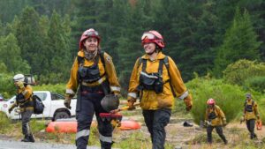 Lee más sobre el artículo El incendio en Puerto Patriada está 100% contenido