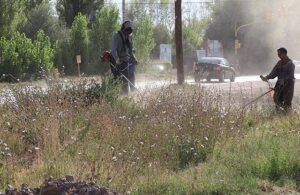 Lee más sobre el artículo El Municipio refuerza la campaña de desmalezamiento en terrenos públicos y privados