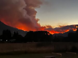 Lee más sobre el artículo Evacuaciones y trabajo incesante de brigadistas en Puerto Patriada para combatir el incendio