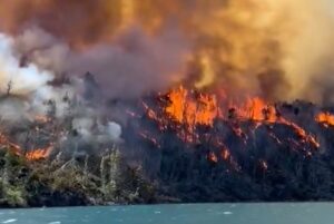 Lee más sobre el artículo Incendios en Cholila y Los Alerces: el viento vuelve a complicar el combate del fuego