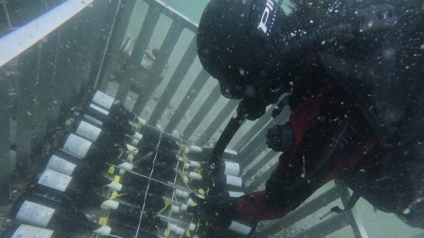 En este momento estás viendo Río Negro presenta degustación de vinos de su cava submarina en Las Grutas